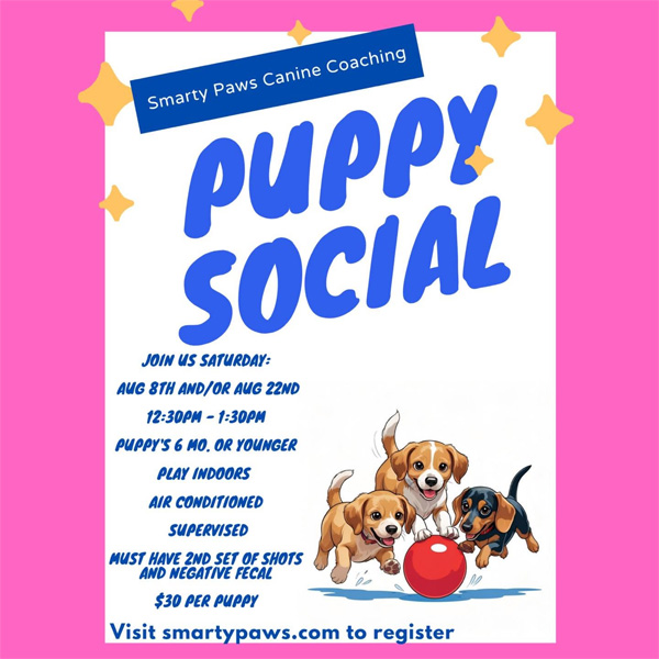 Puppy Social flyer advertising the next event on August 8th and/or 22nd from 12:30pm to 1:30pm for puppies six months or younger at SmartyPaws in Las Vegas