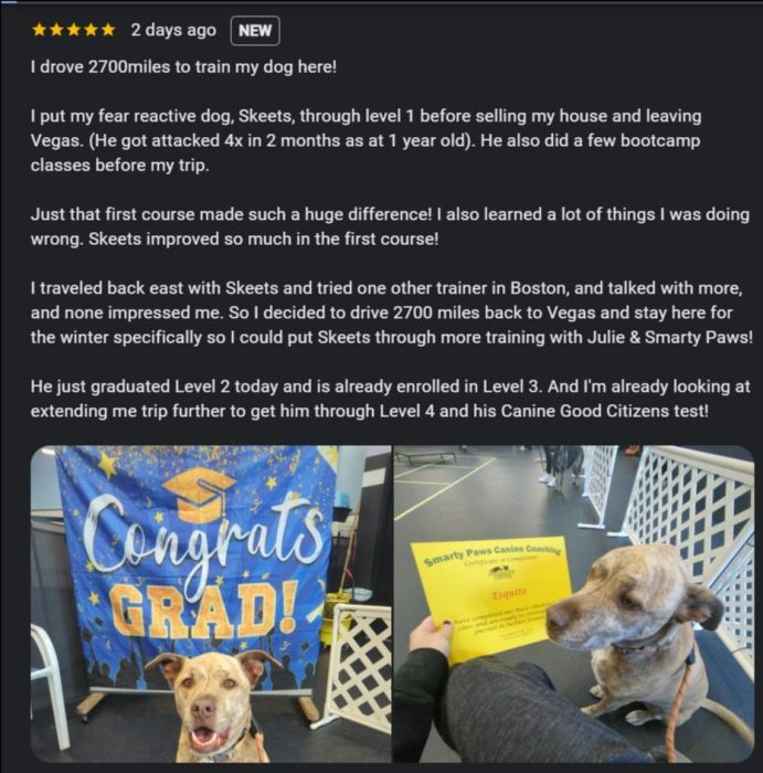 A five-star review of SmartyPaws Canine Coaching including two photos of dogs that graduated from the program