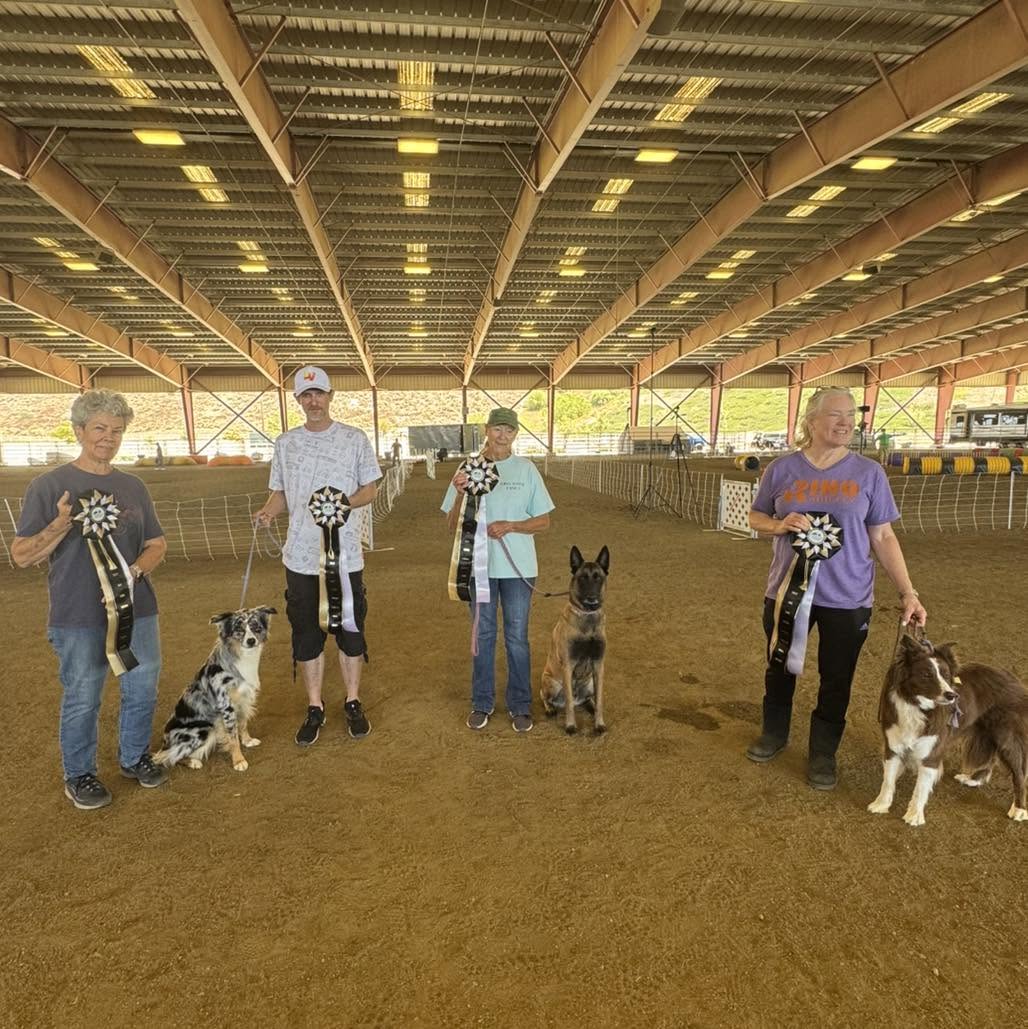 An image of four winners of the June NADAC Trial in Norco, CA. The winners are posing with ribbons and their dogs.