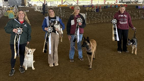 A group shot of the four winners of the May 2026 NADAC trial in Norco, CA. Their dogs are standing next to them and they're holding ribbons.
